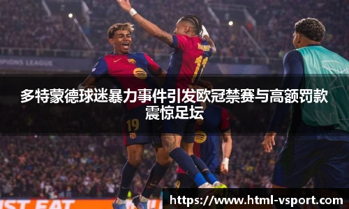多特蒙德球迷暴力事件引发欧冠禁赛与高额罚款震惊足坛